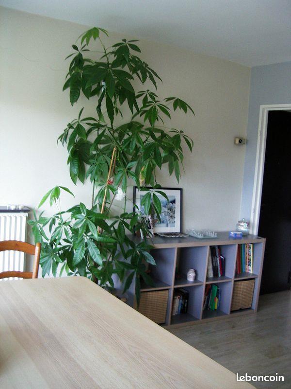 Appartement à vendre, 65m², Montpellier