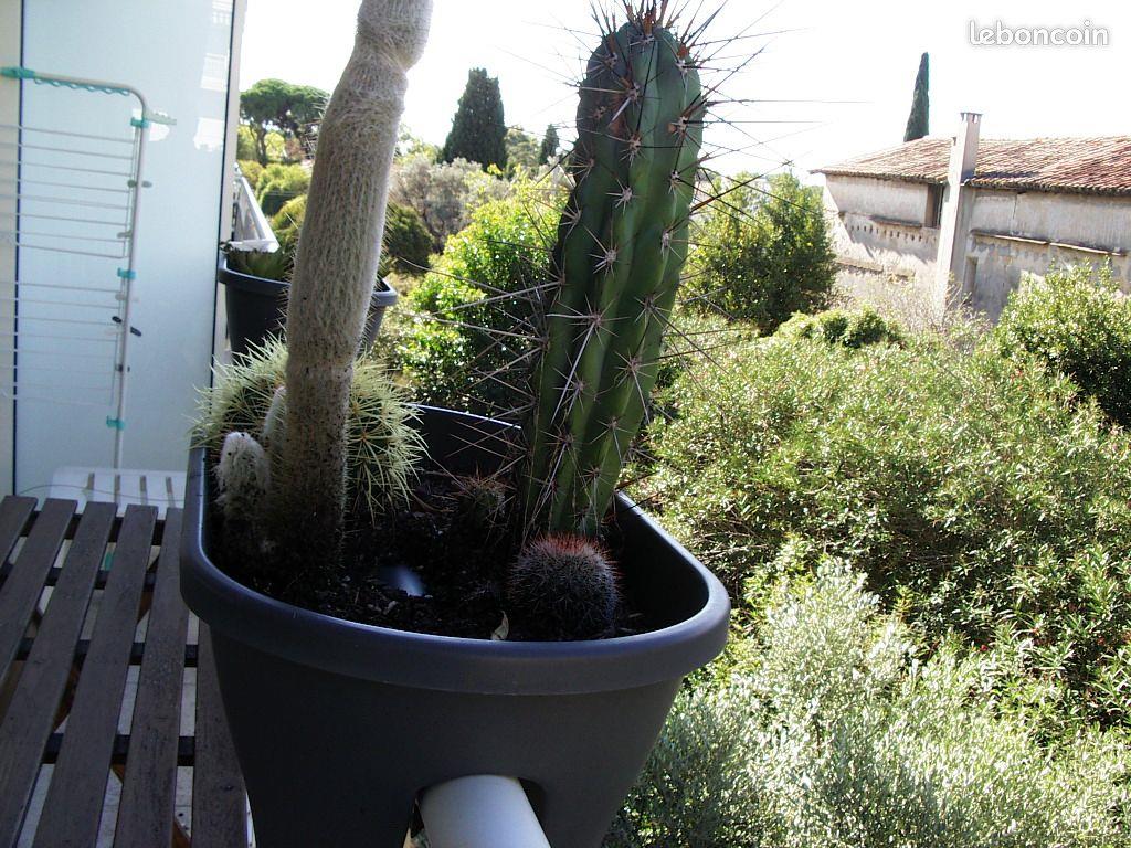 Appartement à vendre, 65m², Montpellier