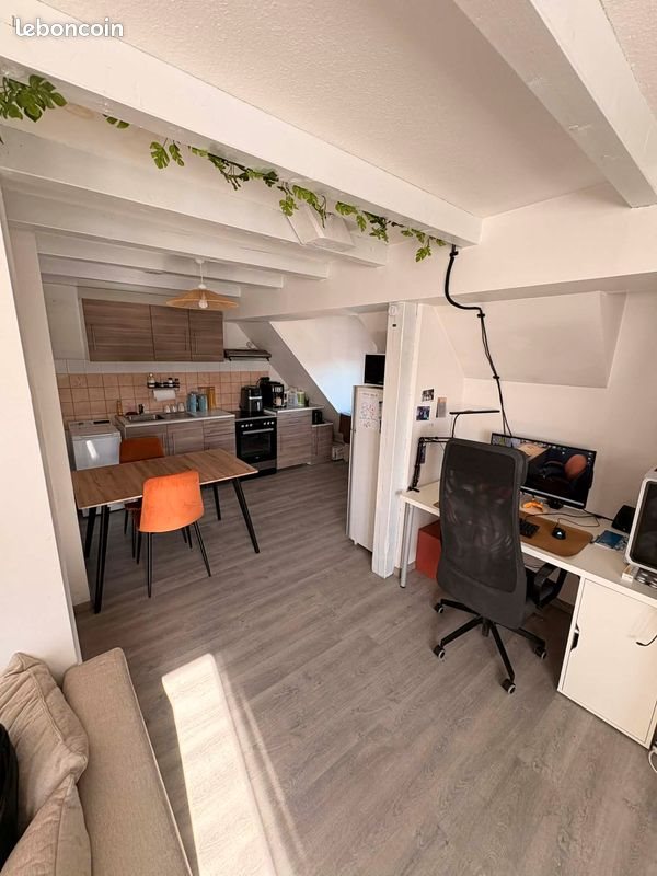 Appartement à louer, 52m², Huttenheim