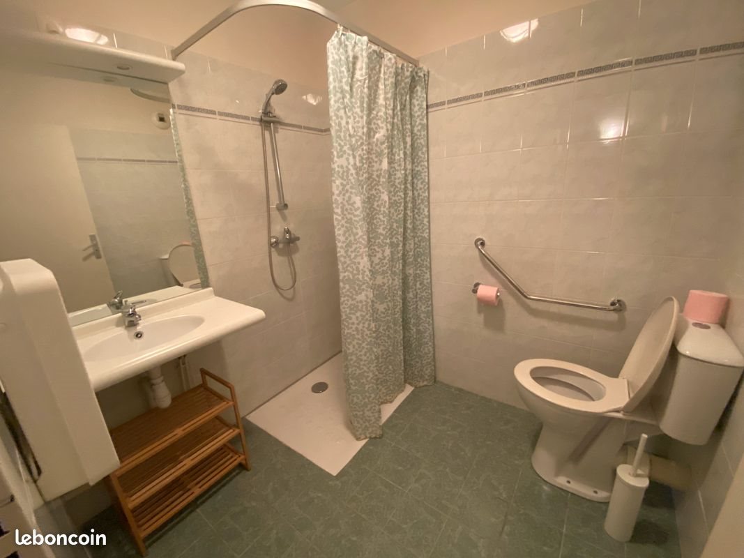 Appartement à louer, 29m², Lyon 9ème