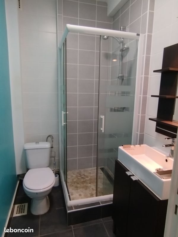 Appartement à louer, 29m², Saint-Etienne