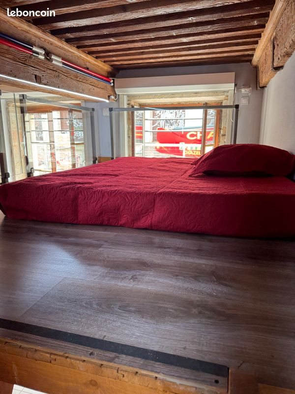 Appartement à louer, 40m², Lyon 1er