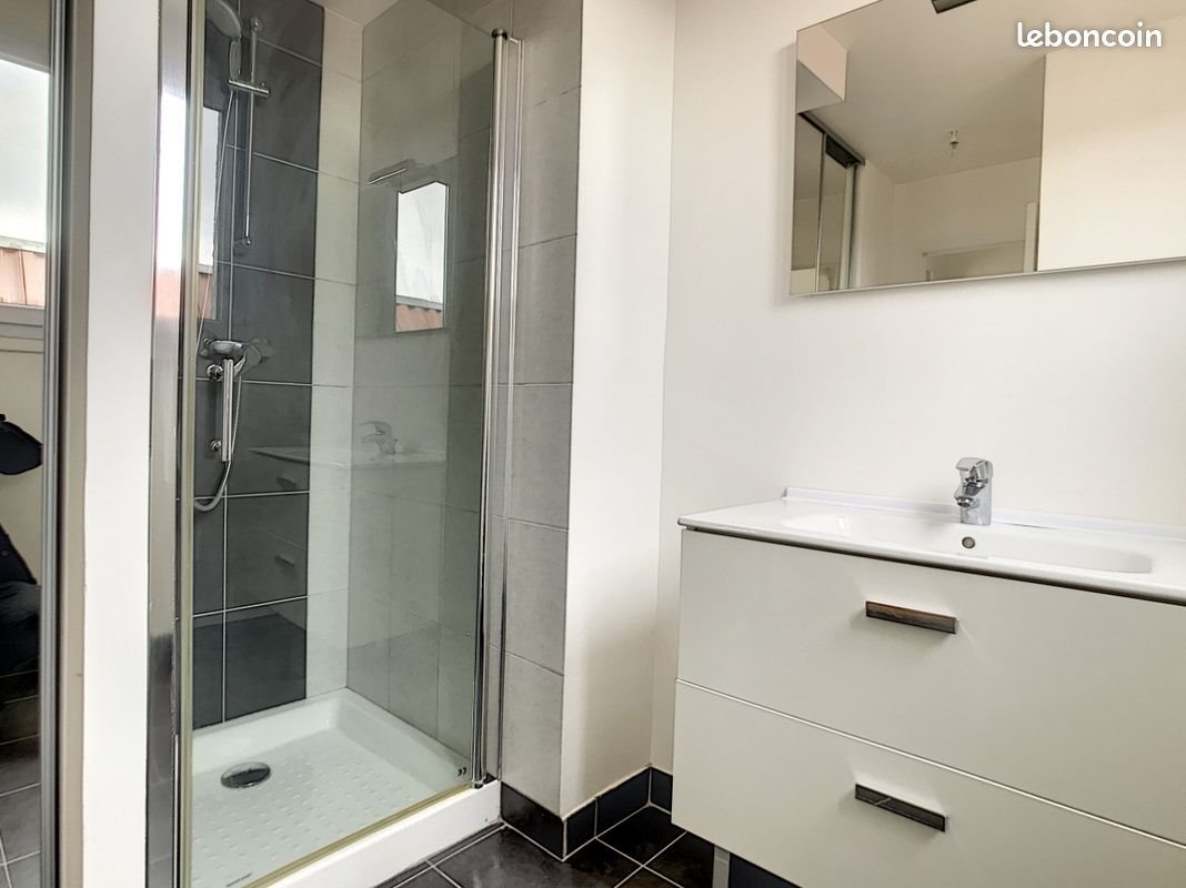 Appartement à louer, 50m², Sainte-Savine