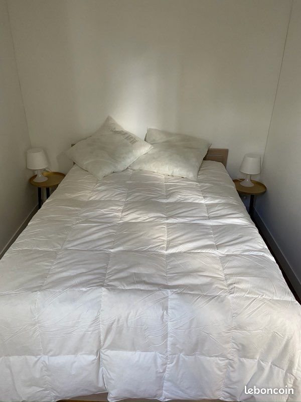 Appartement à louer, 50m², Le Mans