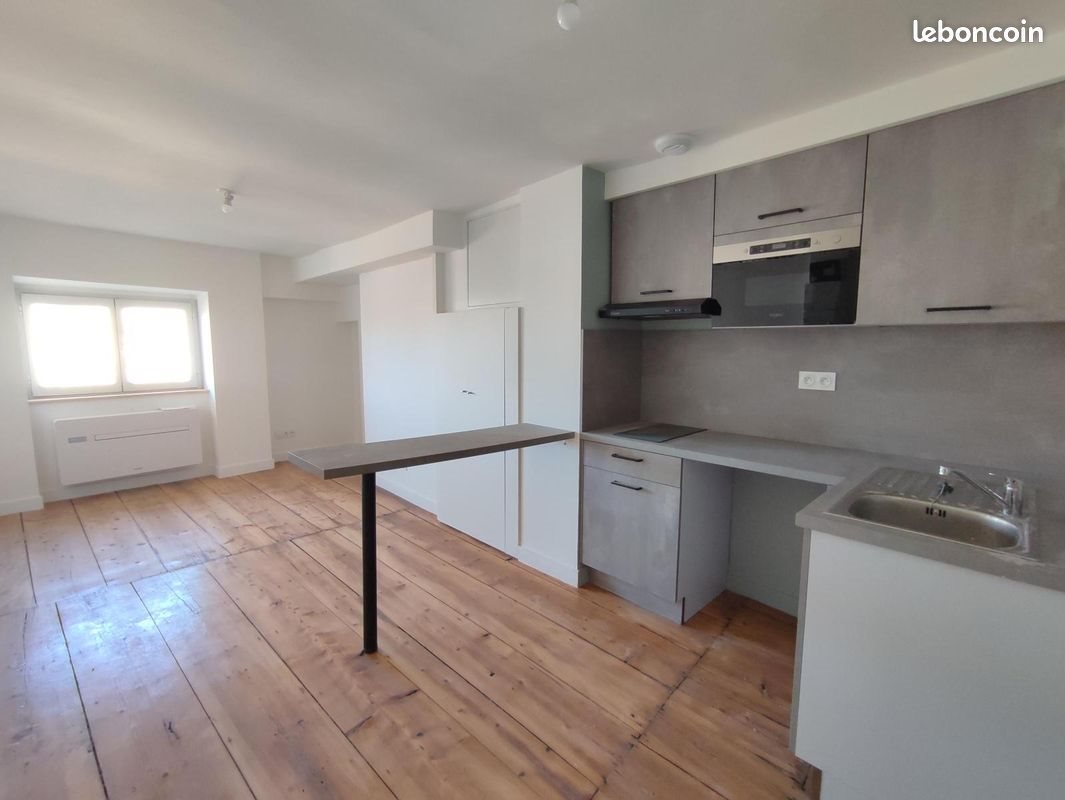 Appartement à louer, 22m², Saint-Etienne