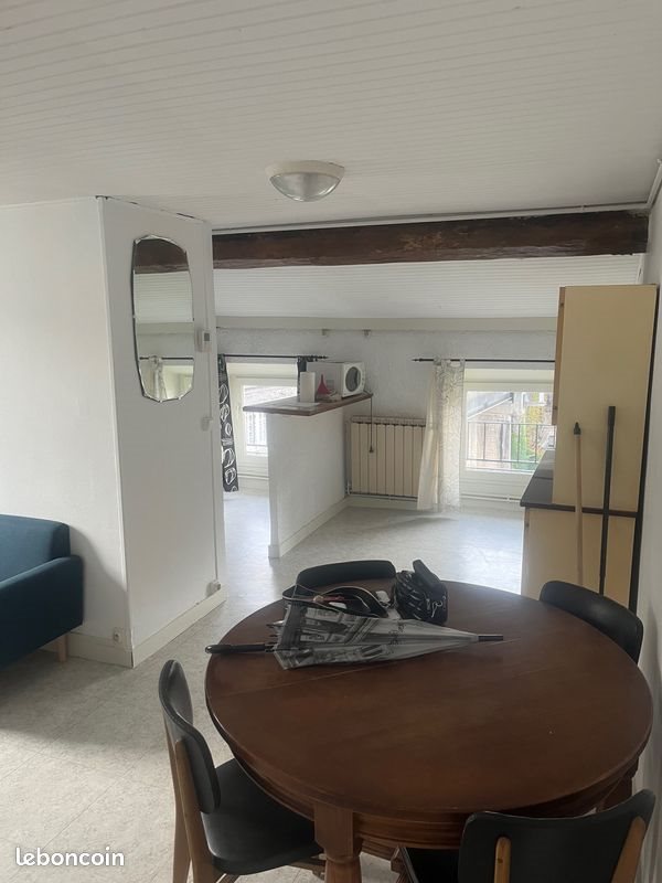 Appartement à louer, 45m², Saint-Etienne
