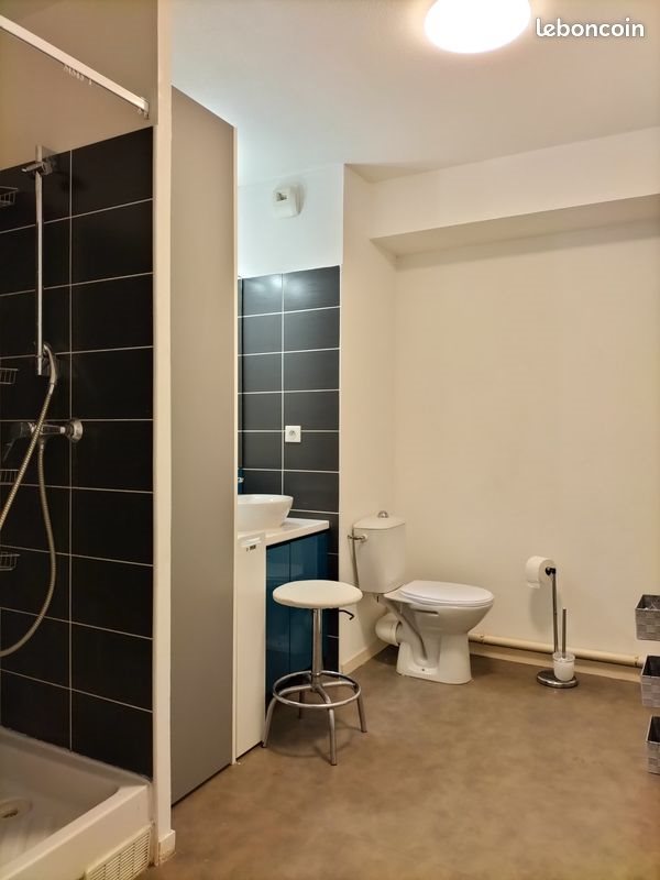 Appartement à louer, 32m², Lyon 4ème