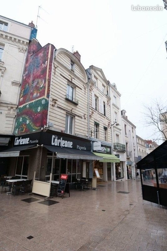 Appartement à louer, 46m², Angers