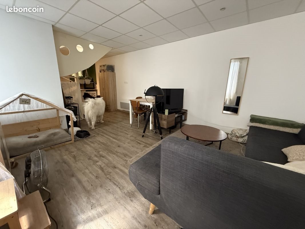 Appartement à louer, 33m², Saumur