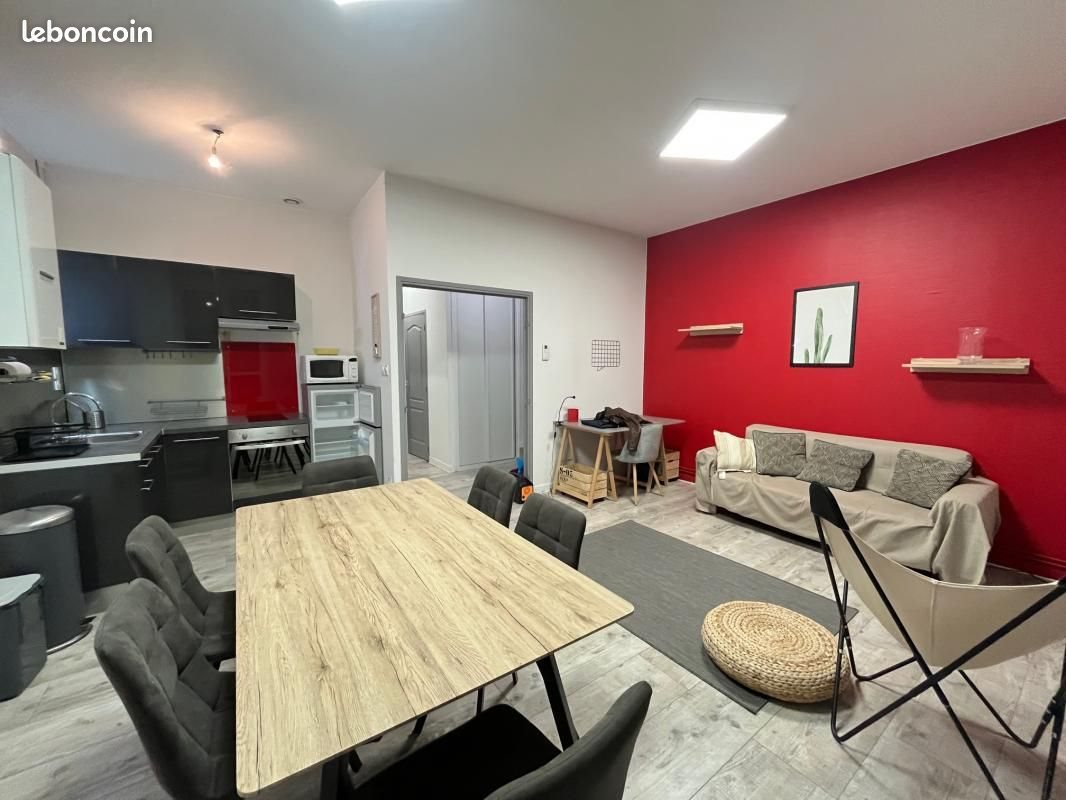 Appartement à louer, 50m², Saint-Etienne