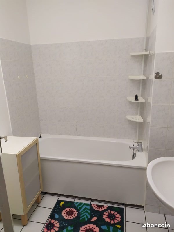 Appartement à louer, 50m², Saint-Etienne