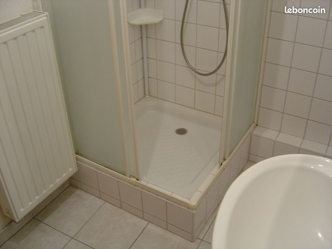 Appartement à louer, 46m², Thann