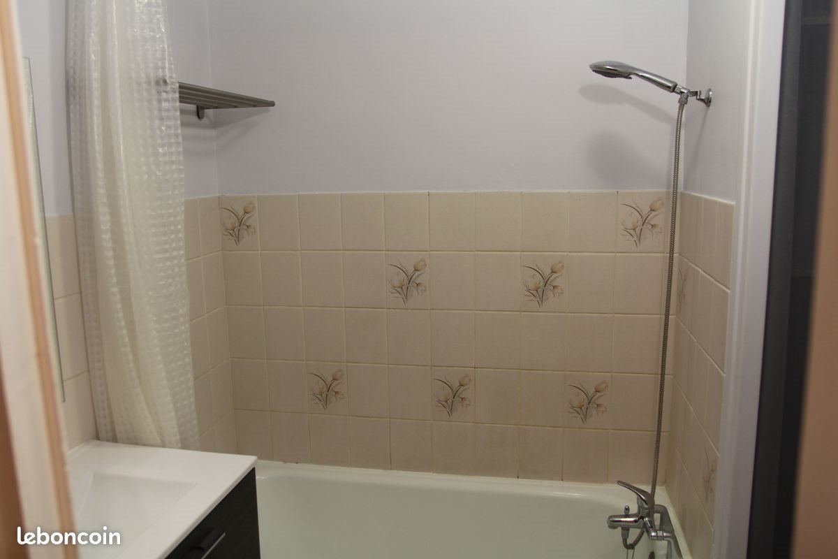 Appartement à louer, 30m², Lille