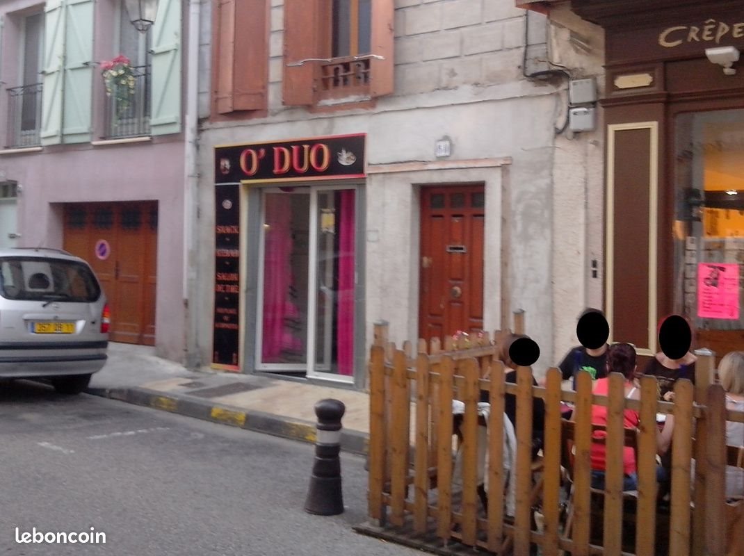 Appartement à vendre, 380m², Limoux