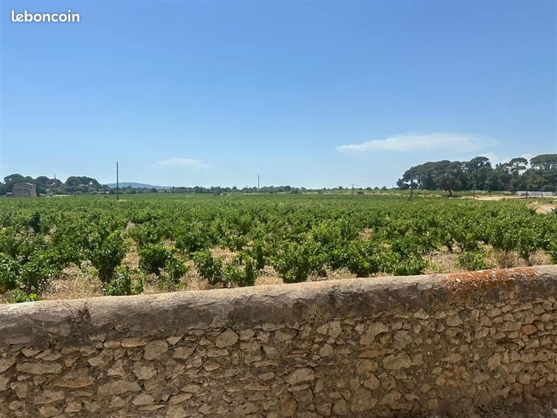 Appartement à louer, 75m², Frontignan