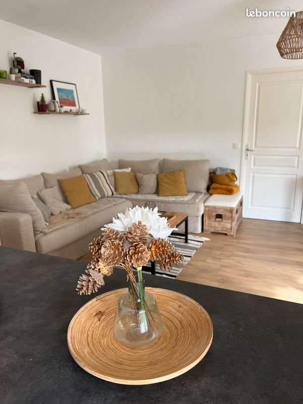 Appartement à louer, 49m², Montpellier