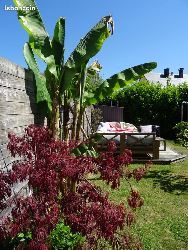 Maison à louer, 155m², Vannes