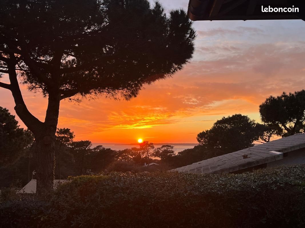 Maison à louer, 230m², La Teste-de-Buch