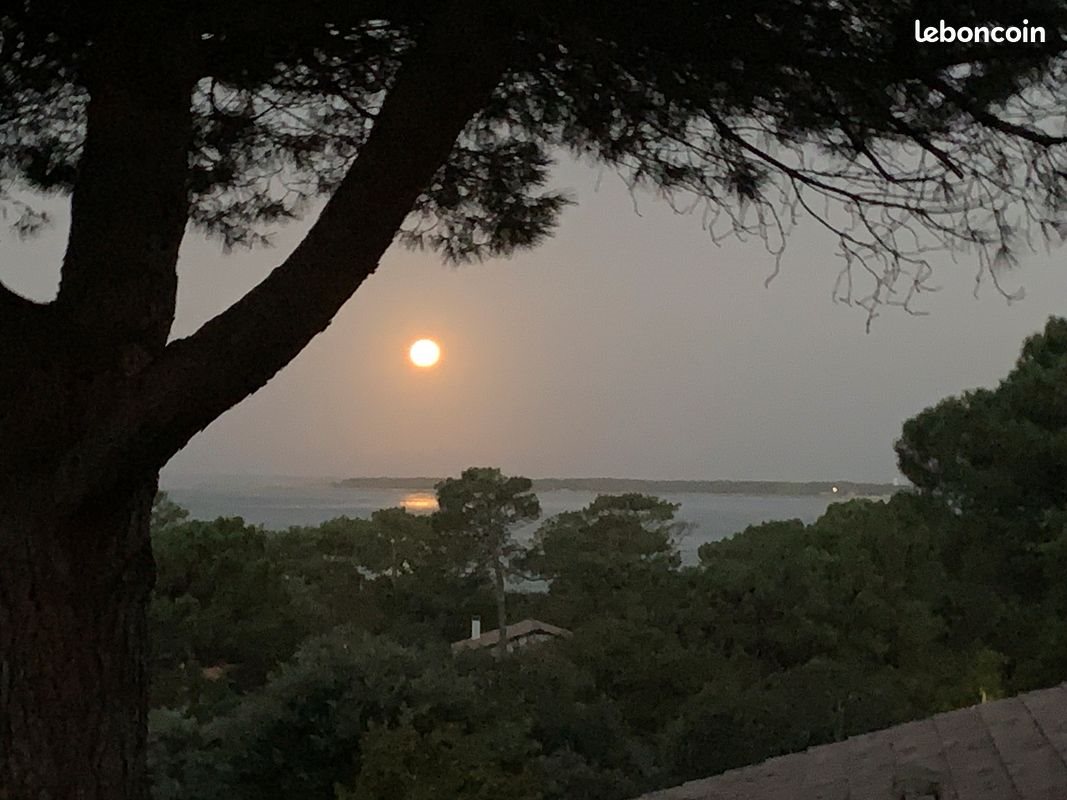 Maison à louer, 230m², La Teste-de-Buch