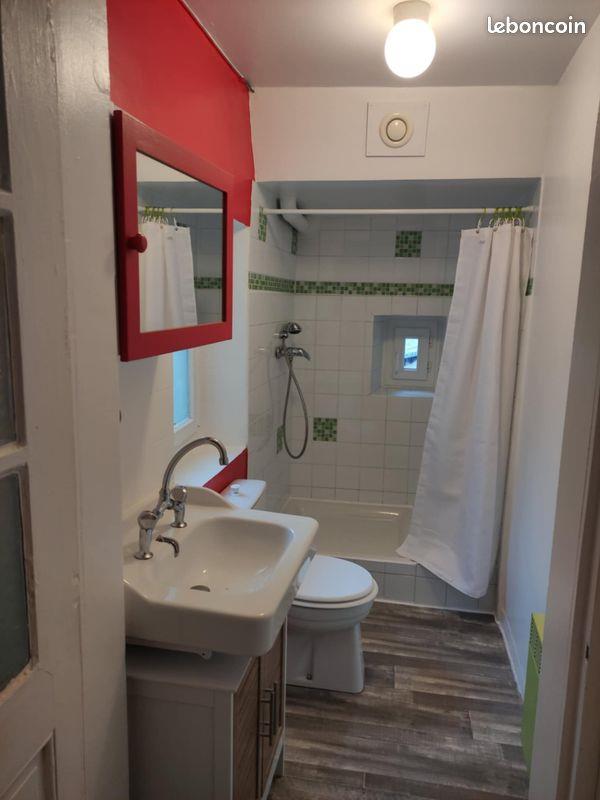 Appartement à louer, 36m², Saint-Etienne
