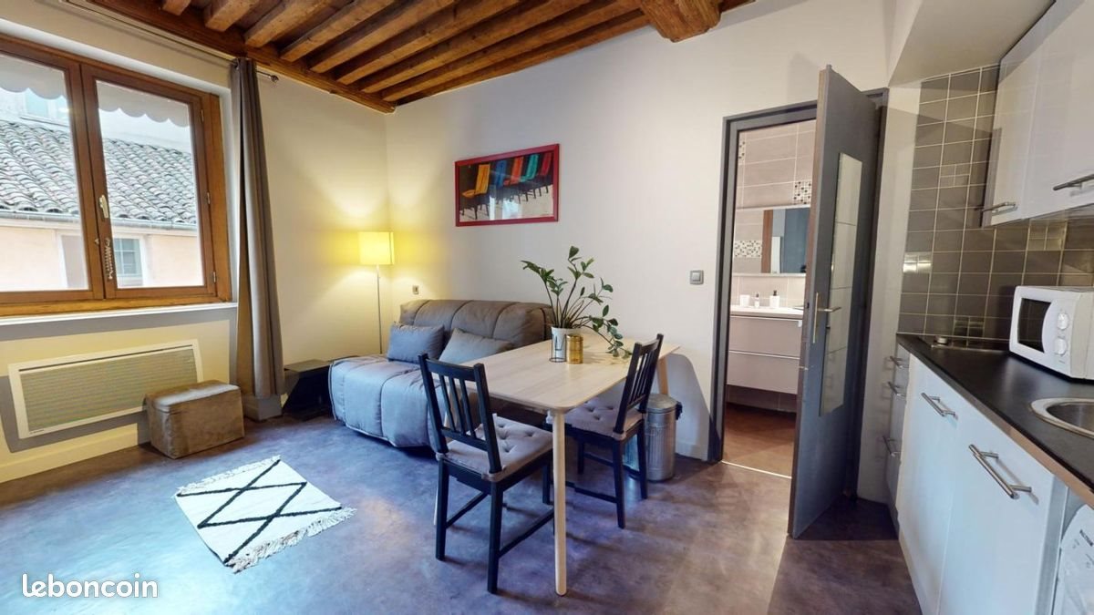 Appartement à louer, 20m², Lyon 1er
