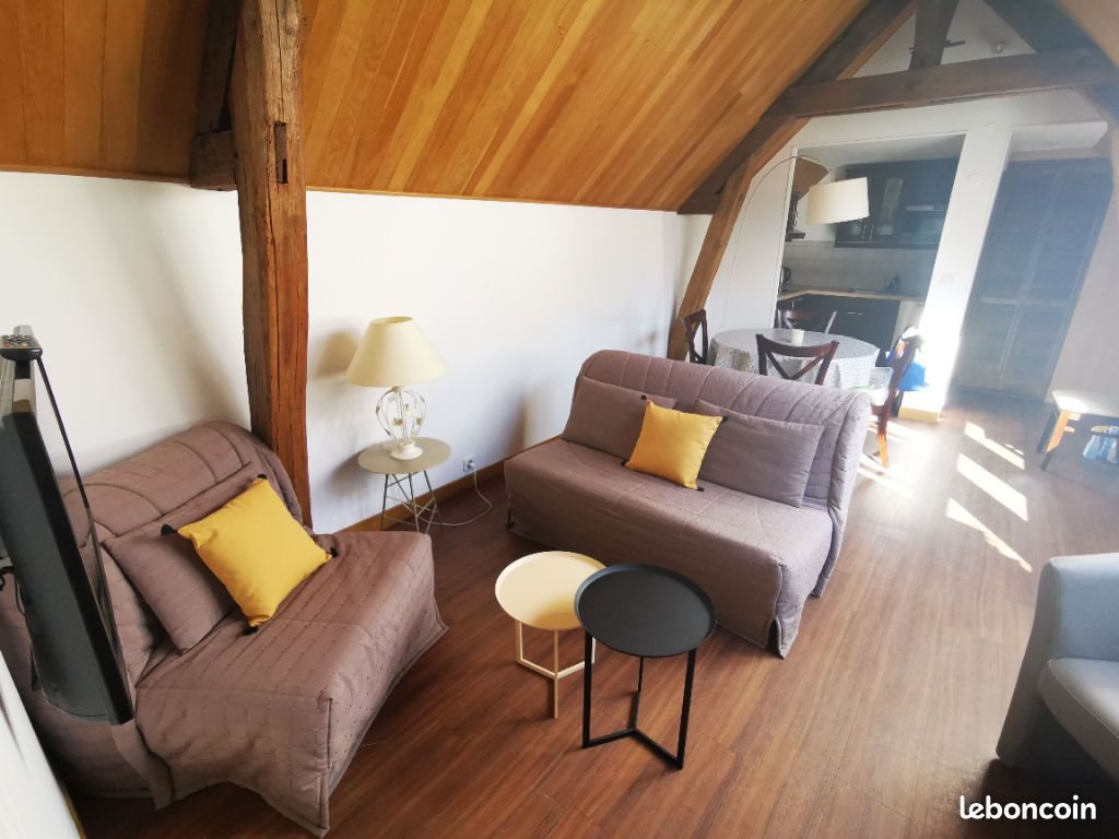Appartement à louer, 52m², Tours