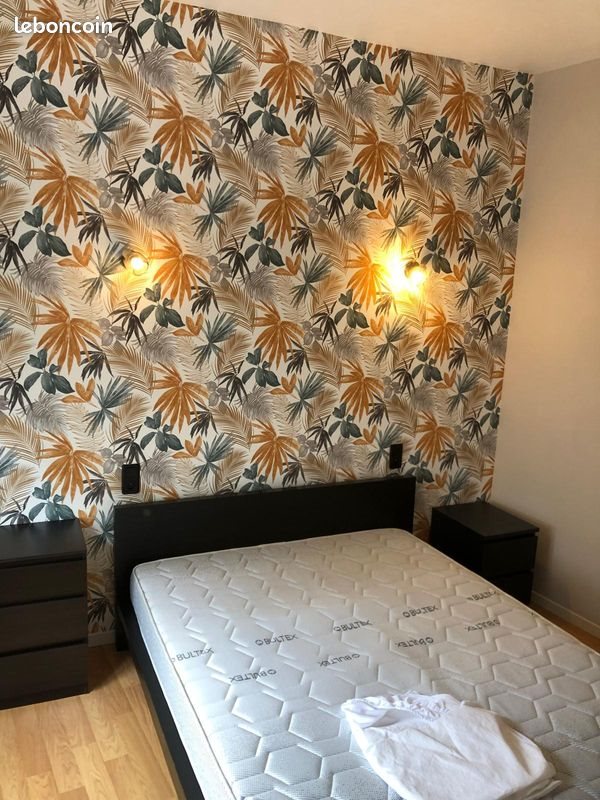 Appartement à louer, 50m², Reims