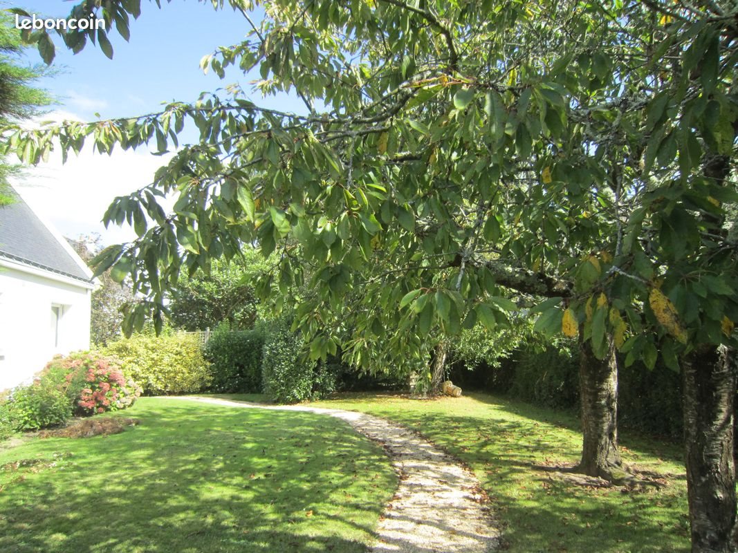 Maison à louer, 130m², Ploeren