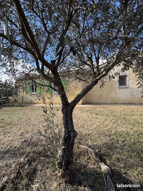 Maison à vendre, 134m², L'Escale