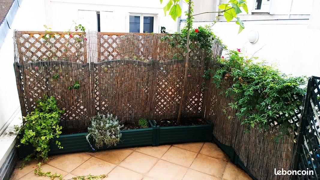 Appartement à louer, 31m², Paris 14ème