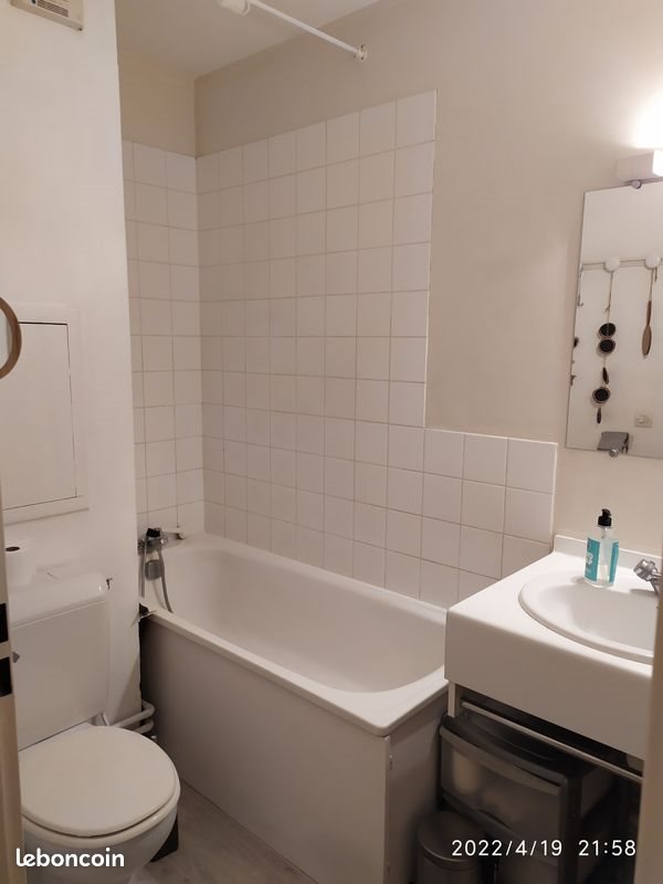 Appartement à louer, 31m², Lille