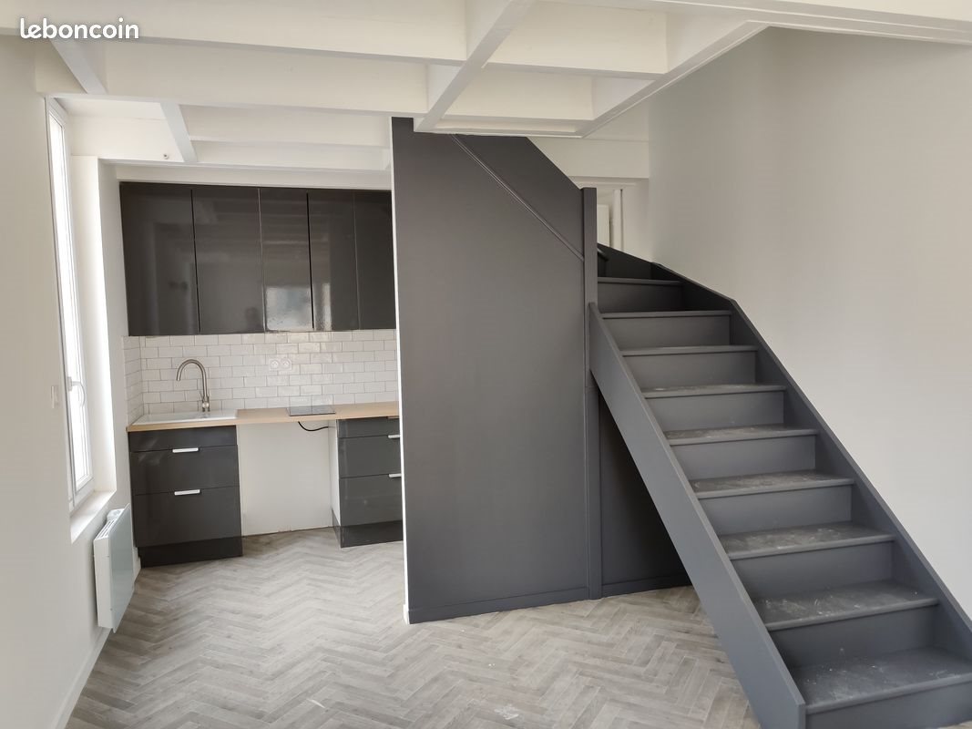 Appartement à louer, 40m², Tours