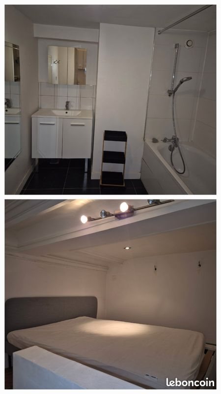 Appartement à louer, 31m², Lille