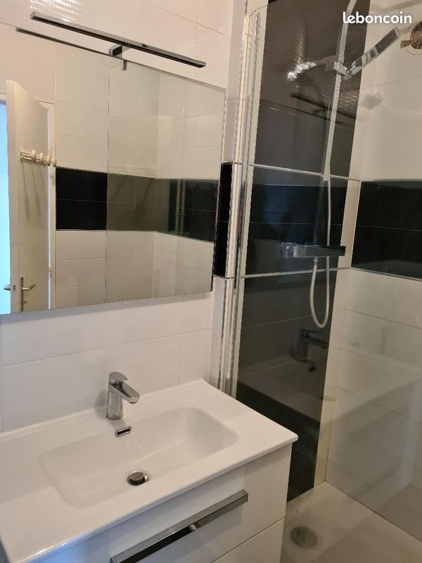 Appartement à louer, 50m², Saint-Etienne