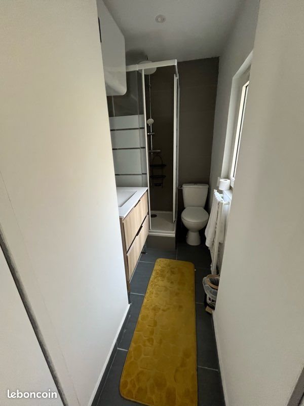 Appartement à louer, 42m², Saint-Etienne