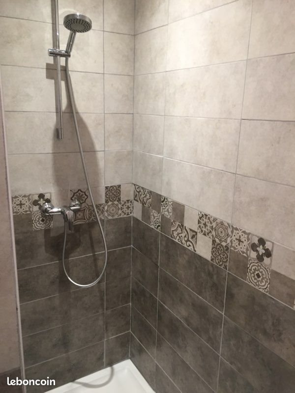 Appartement à louer, 55m², Briennon