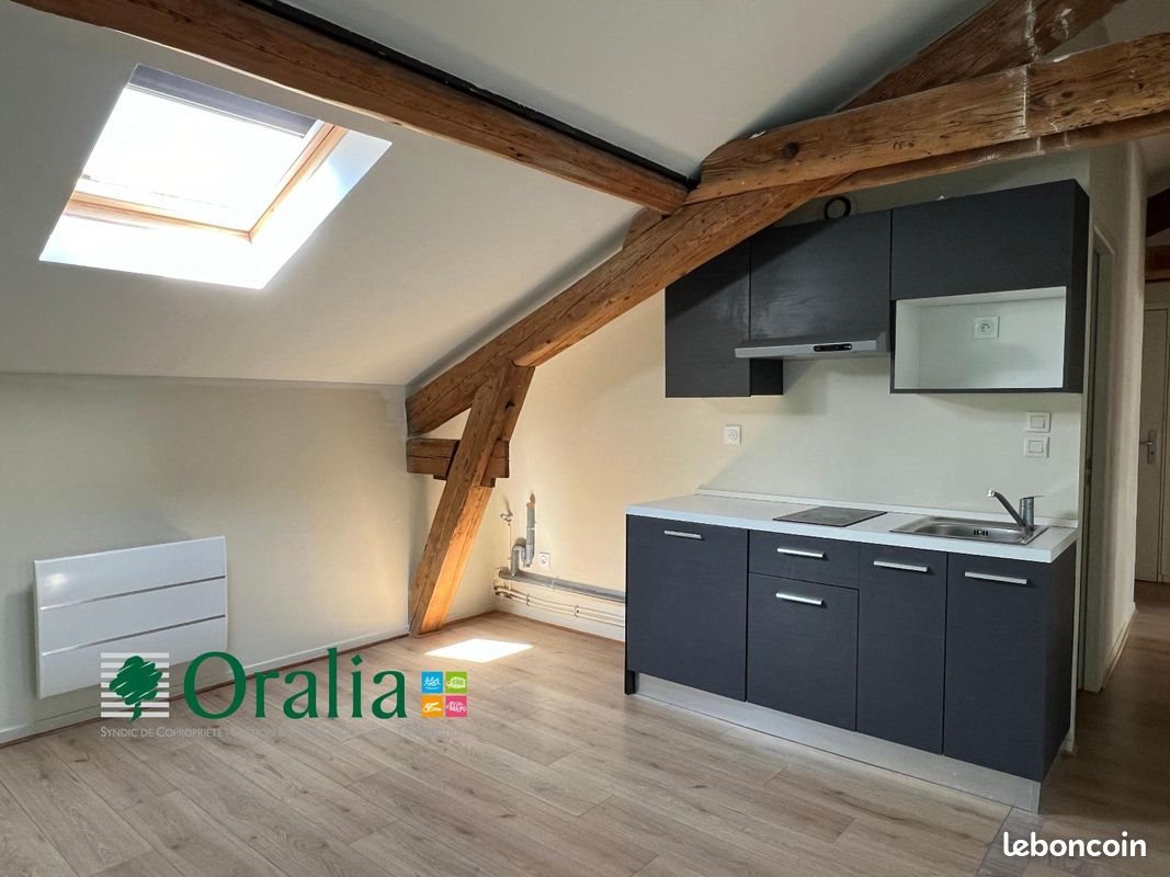 Appartement à louer, 55m², Thizy