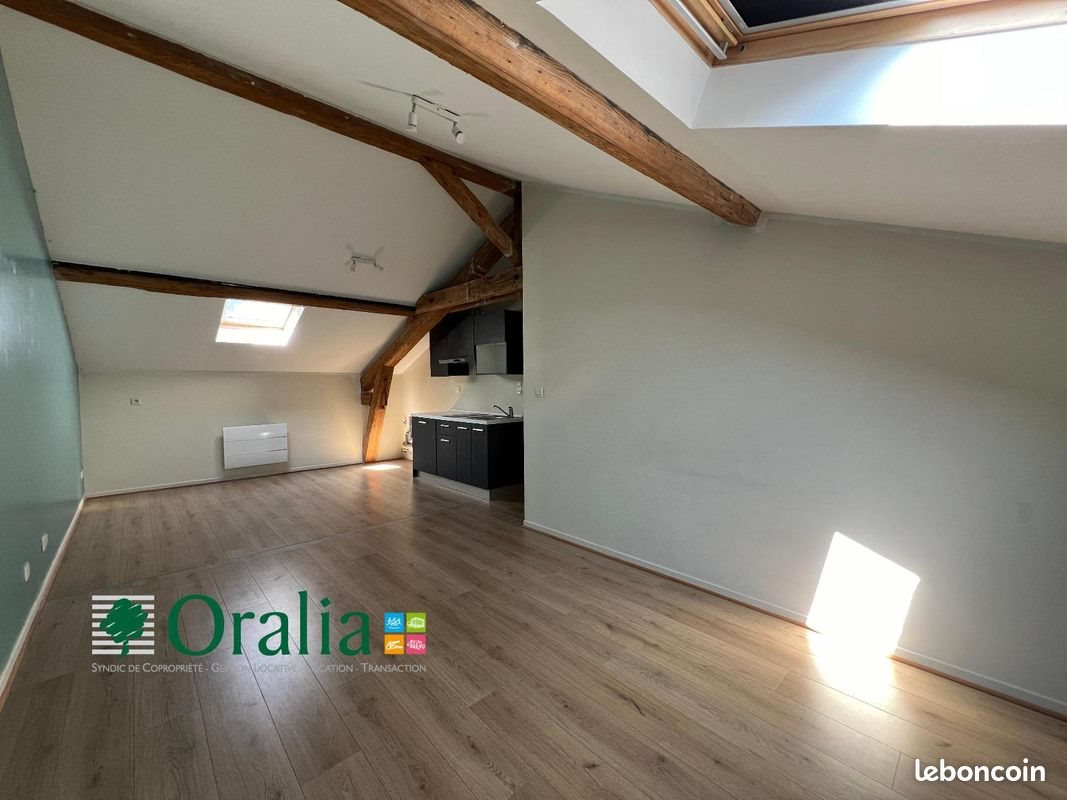 Appartement à louer, 55m², Thizy