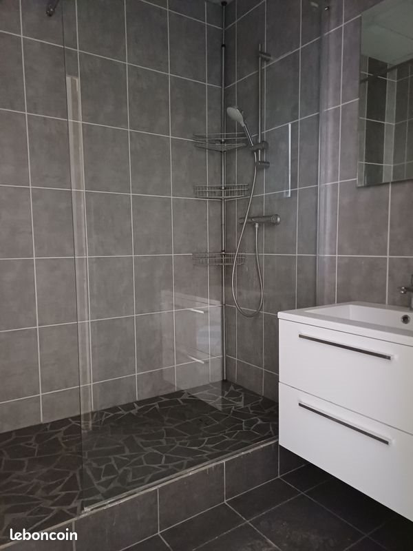 Appartement à louer, 60m², Saint-Etienne