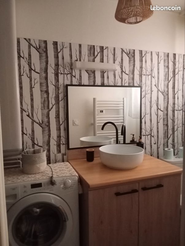 Appartement à louer, 45m², Limoges