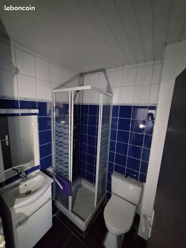 Appartement à louer, 33m², Le Puy-en-Velay