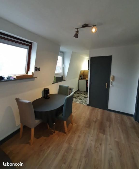 Appartement à louer, 30m², Lille