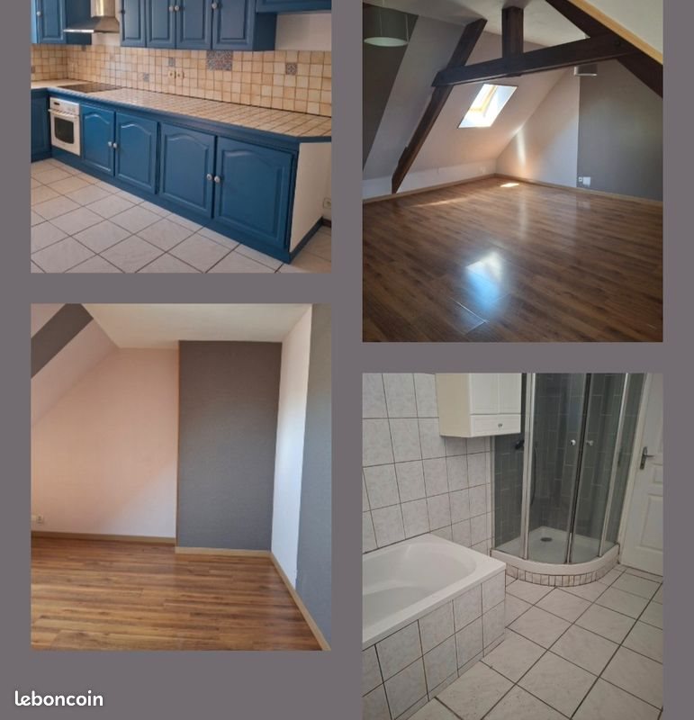 Maison à louer, 250m², Cravant