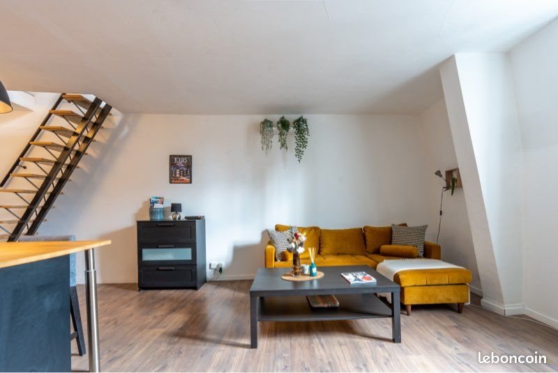Appartement à louer, 40m², Tours