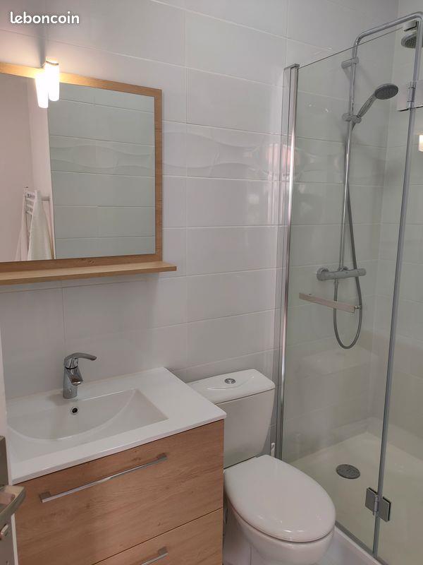 Appartement à louer, 40m², Saint-Etienne