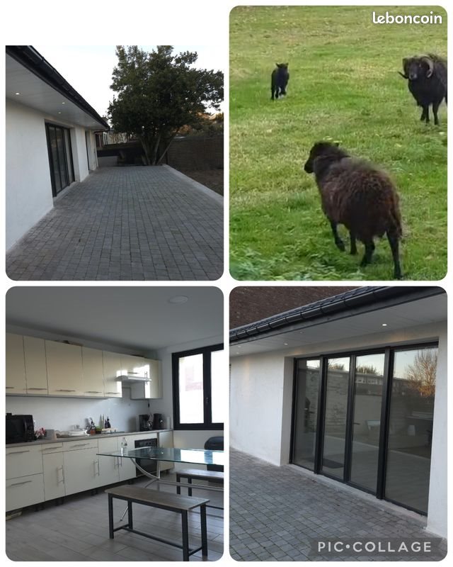 Maison à vendre, 180m², Lys-lez-Lannoy