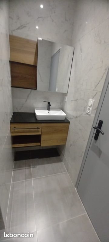 Appartement à louer, 37m², Saint-Etienne