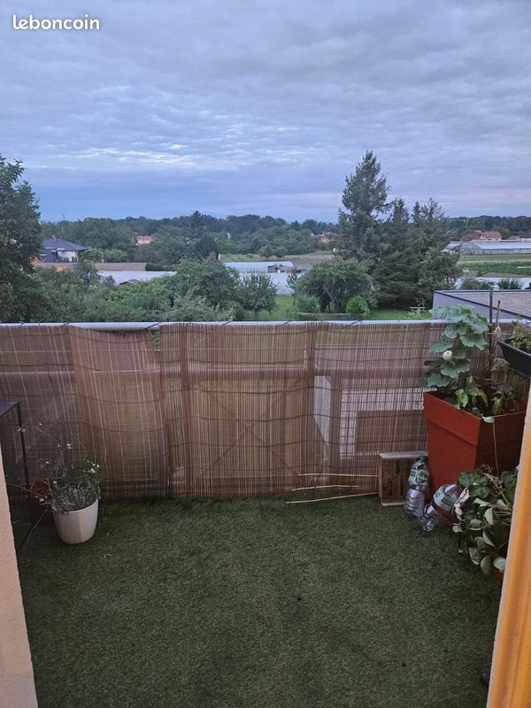 Appartement à louer, 47m², Colmar