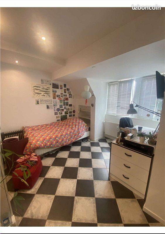 Appartement à vendre, 17m², Strasbourg