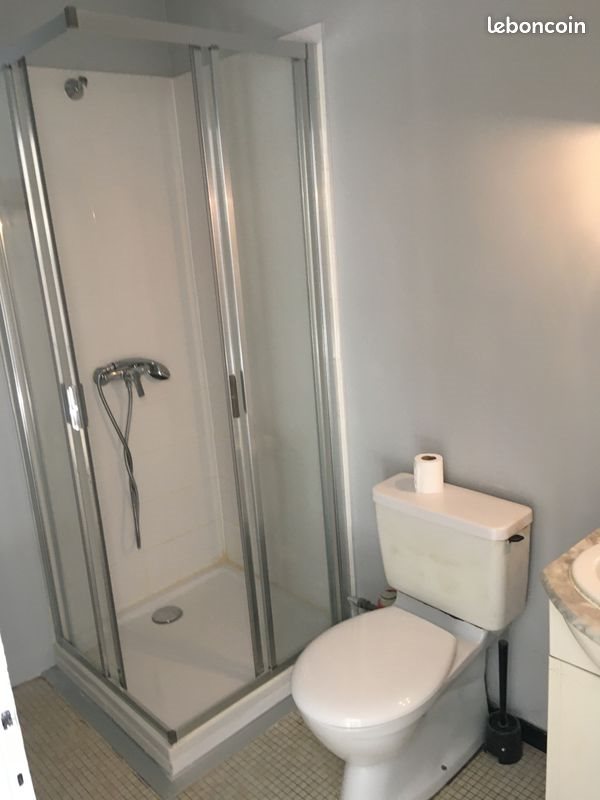 Appartement à louer, 19m², Sainte-Foy-lès-Lyon